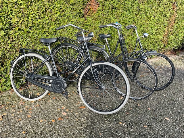 O.a. cortina damesfiets (3x) - afbeelding 1 van  6