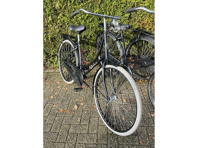 O.a. cortina damesfiets (3x) - afbeelding 2 van  6