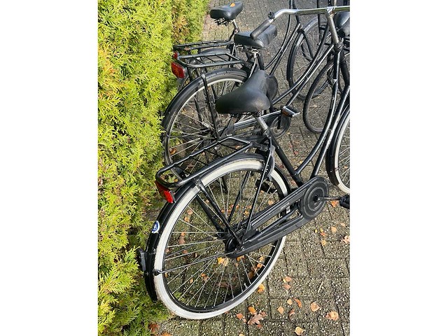O.a. cortina damesfiets (3x) - afbeelding 6 van  6