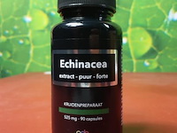 O.a. d-phenylalanine & echinacea - afbeelding 6 van  10