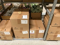 O.a. vaselife, florallife bloemvoeding - afbeelding 3 van  16