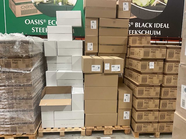 Oase - afbeelding 1 van  3