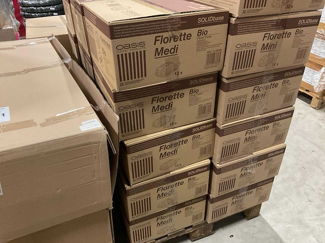 Oasis florette mini en midi oase - afbeelding 3 van  5