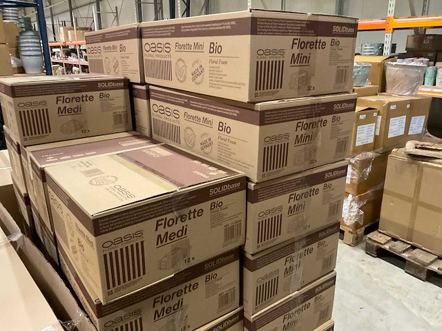 Oasis florette mini en midi oase - afbeelding 4 van  5