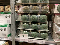 Oasis steekschuim - afbeelding 2 van  16