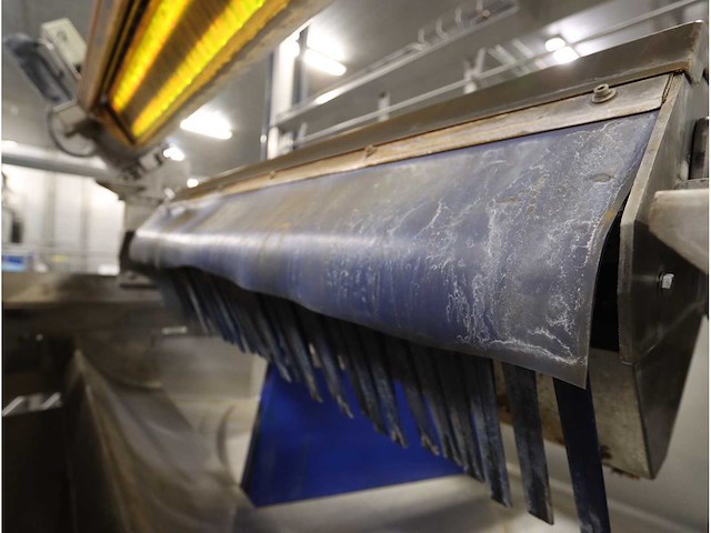 Odenberg alpha aardappel sorteermachine met schudzeef - afbeelding 11 van  12