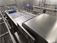 Odenberg alpha aardappel sorteermachine met schudzeef - afbeelding 2 van  12