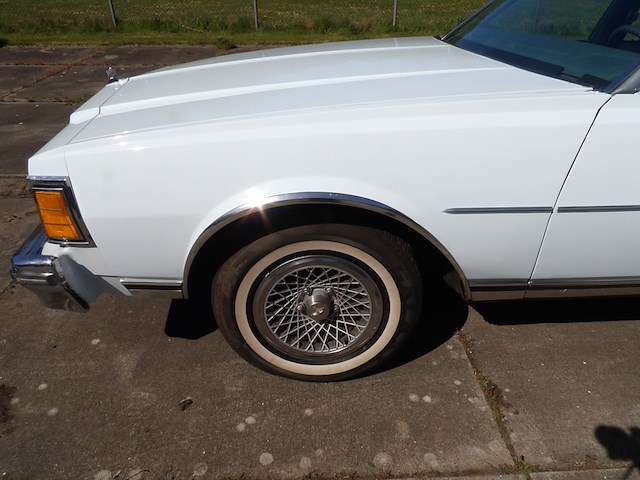Oldtimer, chevrolet, caprice classic 4, lichtblauw, 1979 - afbeelding 57 van  156