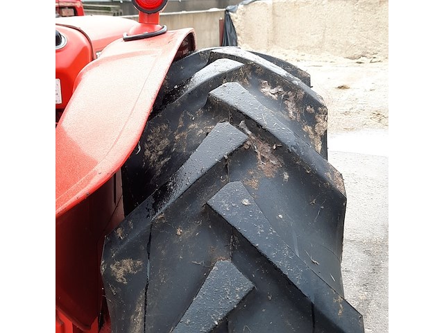 Oldtimer tractor david brown, 770, bouwjaar 1967 - afbeelding 37 van  42