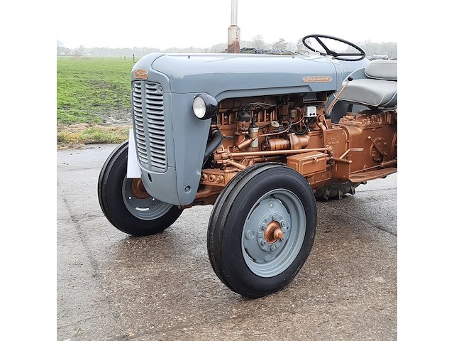 Oldtimer tractor (goudbuik) ferguson, te35, bouwjaar 1956 - afbeelding 12 van  36