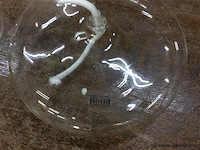 Olielampjes boucadim - afbeelding 2 van  2