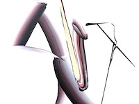 Olieverf op canvas - afbeelding 4 van  6