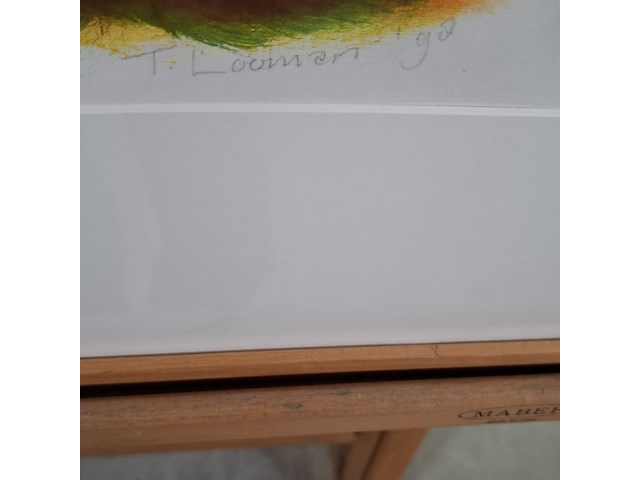 Olieverf op papier, tineke looman, 1998 - afbeelding 5 van  9