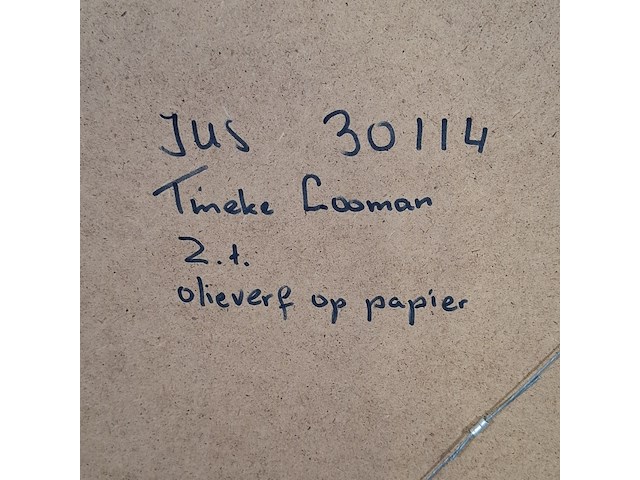Olieverf op papier, tineke looman, 1998 - afbeelding 8 van  9