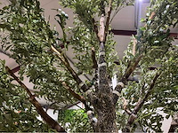 Olijf kunstboom - afbeelding 7 van  11