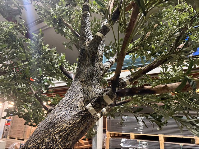 Olijf kunstboom - afbeelding 9 van  11