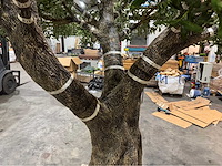 Olijf kunstboom - afbeelding 11 van  11