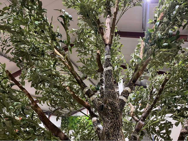 Olijf kunstboom - afbeelding 4 van  5