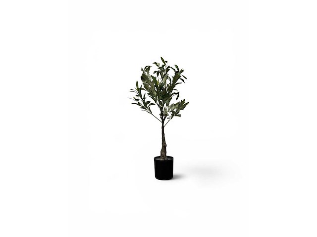 Olijf olijf kunstplant (5x) - afbeelding 2 van  5