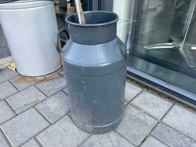 Olijfboom in melkbus - afbeelding 1 van  1