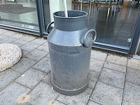 Olijfboom in melkbus - afbeelding 1 van  1