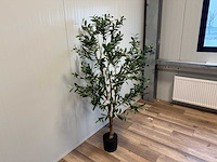 Olive tree kunstplant (180cm hoog) - afbeelding 7 van  13