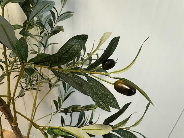 Olive tree kunstplant (180cm hoog) - afbeelding 2 van  13