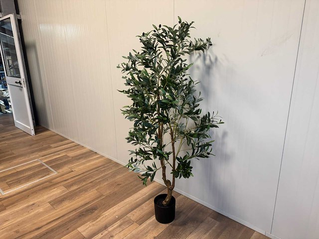 Olive tree kunstplant (180cm hoog) - afbeelding 8 van  13