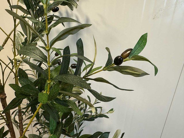 Olive tree kunstplant (180cm hoog) - afbeelding 12 van  13