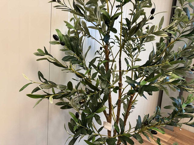 Olive tree kunstplant (180cm hoog) - afbeelding 11 van  13