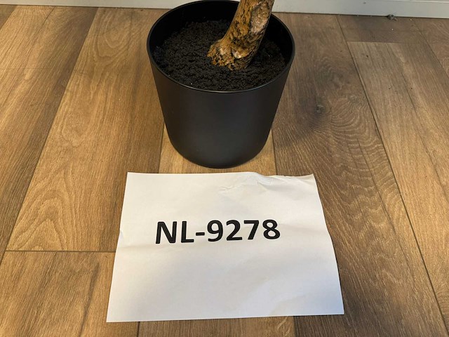 Olive tree kunstplant (180cm hoog) - afbeelding 8 van  13