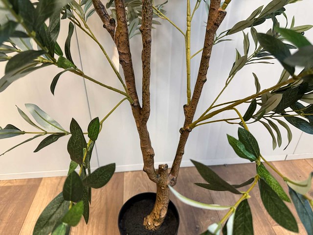 Olive tree kunstplant (180cm hoog) - afbeelding 12 van  13