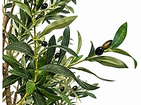 Olive tree kunstplant (180cm hoog) - afbeelding 2 van  4