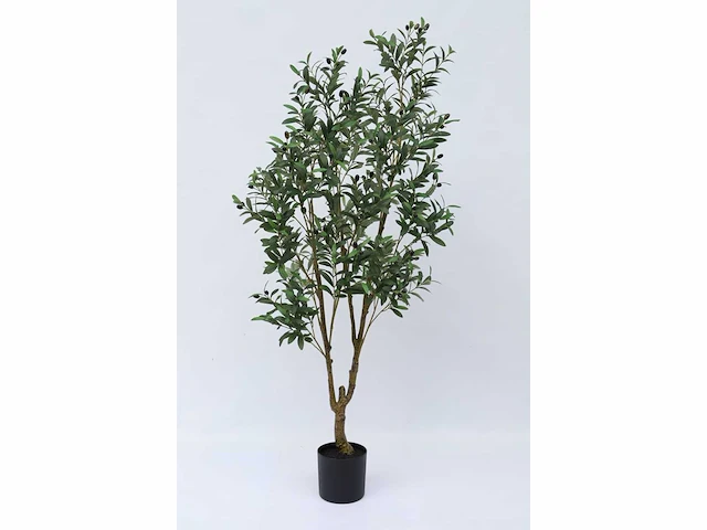 Olive tree kunstplant (180cm hoog) - afbeelding 6 van  13
