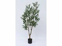 Olive tree kunstplant (180cm hoog) - afbeelding 6 van  13