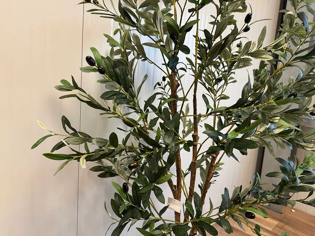 Olive tree kunstplant (180cm hoog) - afbeelding 11 van  13