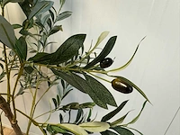 Olive tree kunstplant (180cm hoog) - afbeelding 2 van  13