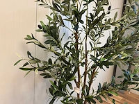 Olive tree kunstplant (180cm hoog) - afbeelding 11 van  13