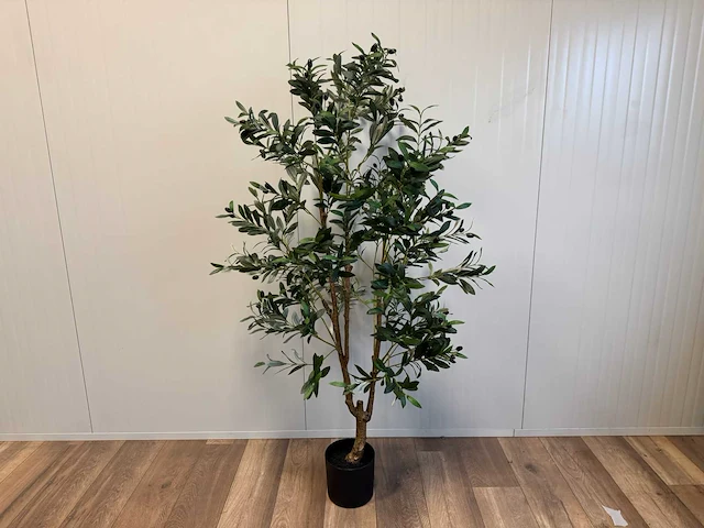 Olive tree kunstplant (180cm hoog) - afbeelding 1 van  13