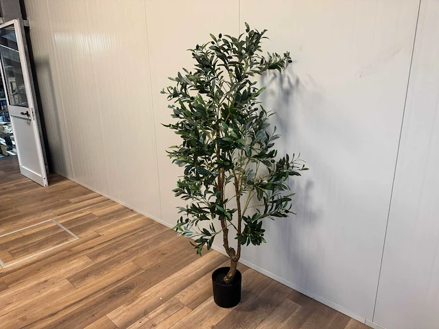 Olive tree kunstplant (180cm hoog) - afbeelding 8 van  13