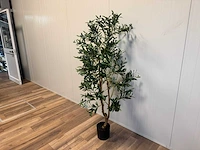 Olive tree kunstplant (180cm hoog) - afbeelding 8 van  13
