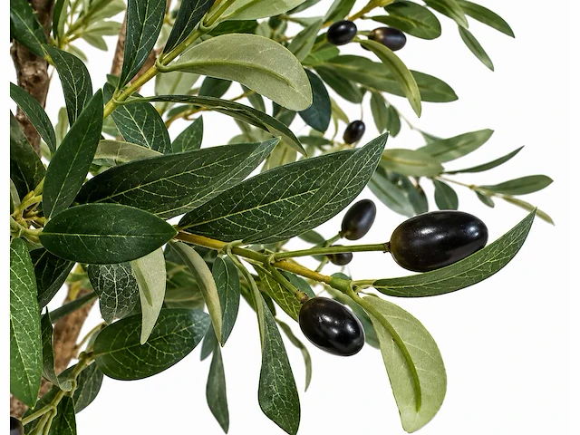 Olive tree kunstplant (280cm hoog) (2x) - afbeelding 2 van  5