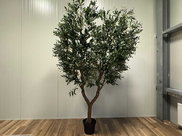 Olive tree kunstplant (280cm hoog) - afbeelding 1 van  19