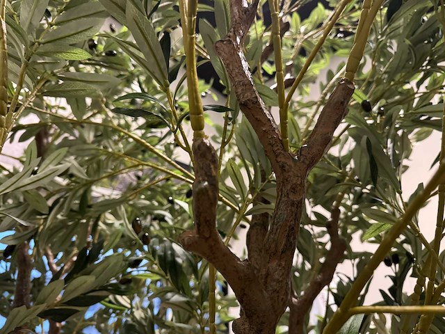 Olive tree kunstplant (280cm hoog) - afbeelding 15 van  20