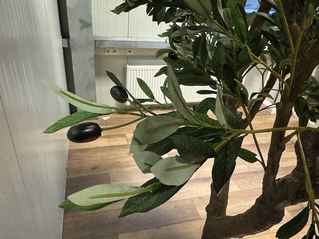 Olive tree kunstplant (280cm hoog) - afbeelding 14 van  20