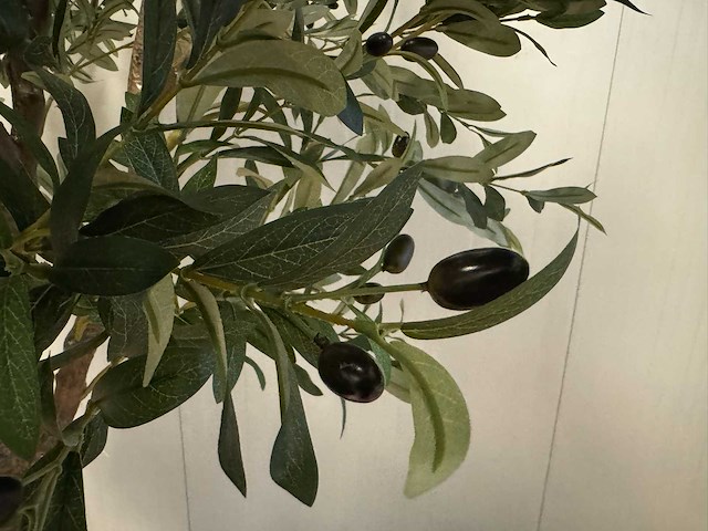 Olive tree kunstplant (280cm hoog) - afbeelding 1 van  12