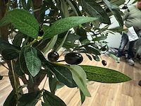 Olive tree kunstplant (280cm hoog) - afbeelding 4 van  12