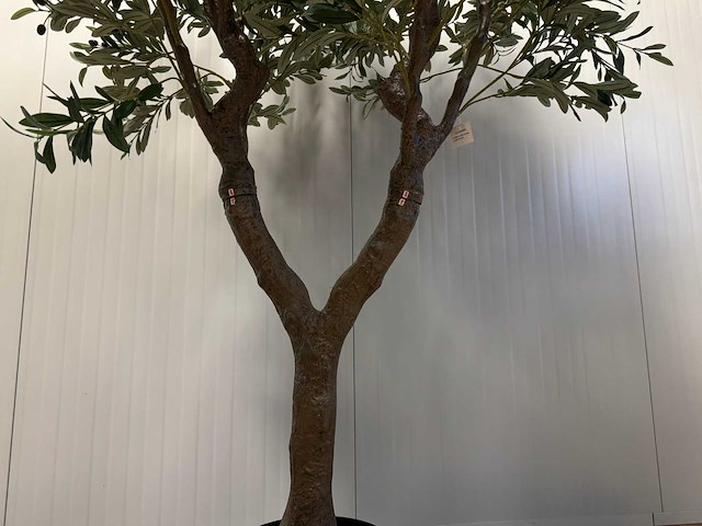 Olive tree kunstplant (280cm hoog) - afbeelding 6 van  12