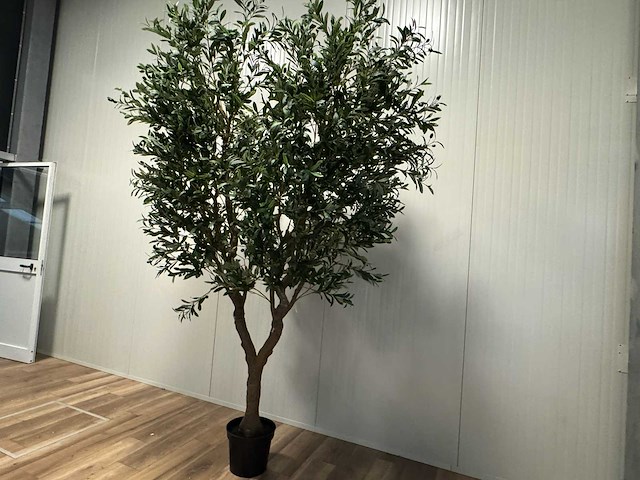 Olive tree kunstplant (280cm hoog) - afbeelding 8 van  12