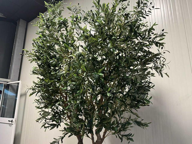 Olive tree kunstplant (280cm hoog) - afbeelding 10 van  12